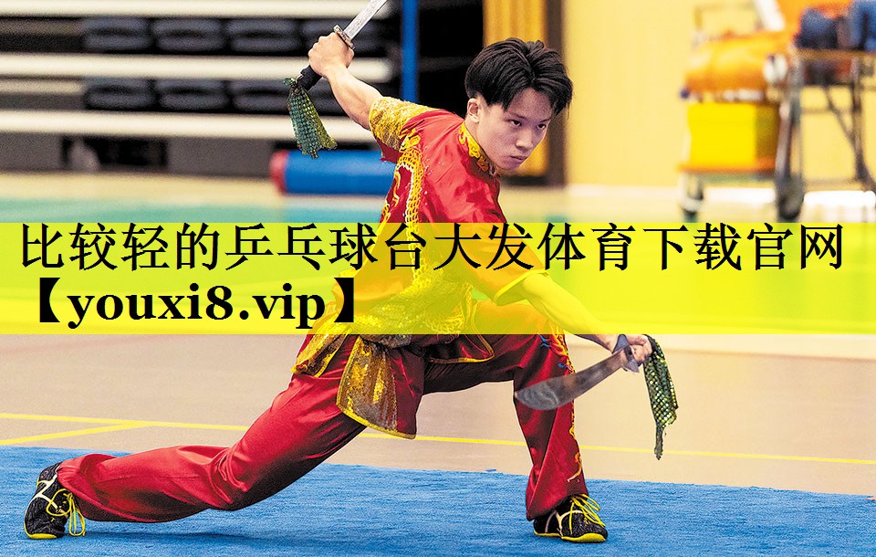 比较轻的乒乓球台大发体育下载官网