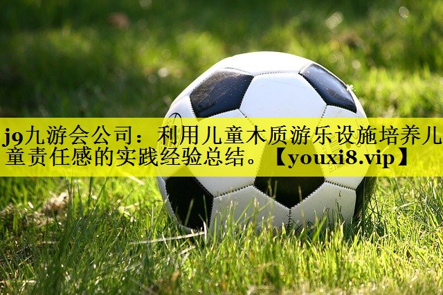 j9九游会公司：利用儿童木质游乐设施培养儿童责任感的实践经验总结。