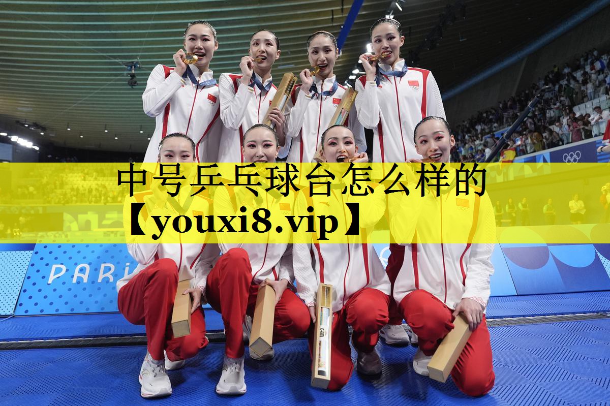 中号乒乓球台怎么样的
