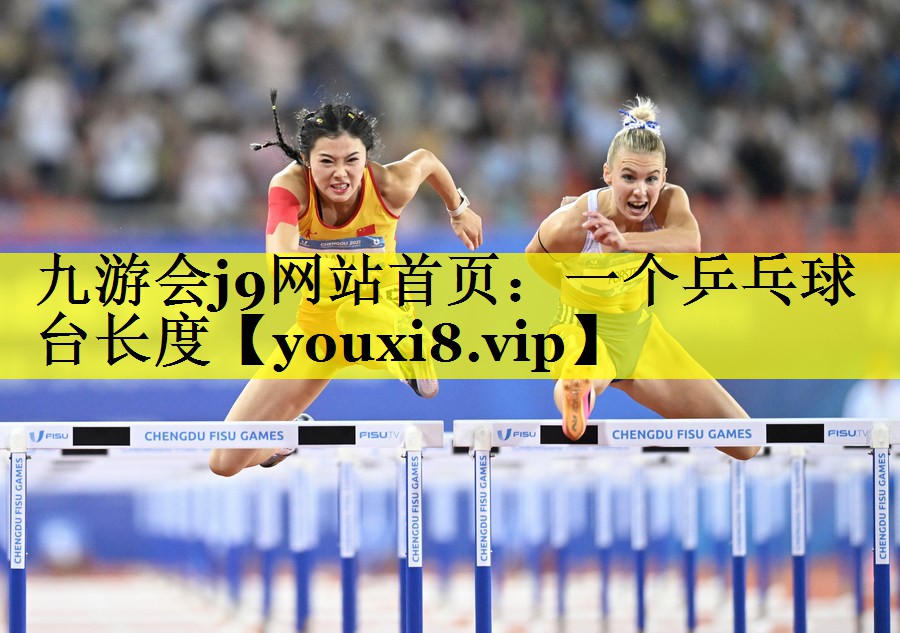 一个乒乓球台长度