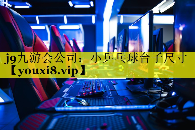 小乒乓球台子尺寸